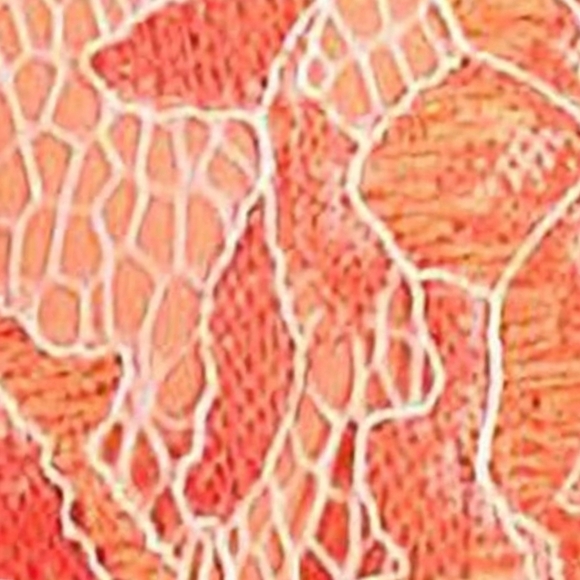 Taylor Coral Lace Tiered Ruffle V Neck Fairycore Short Sleeve Dress NWT Sz 4 - Picture 3 of 9